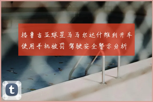 格鲁吉亚球星马马尔达什维利开车使用手机被罚 驾驶安全警示分析