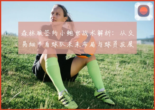 森林狼签约小鲍尔战术解析:从交易细节看球队未来布局与球员发展前景